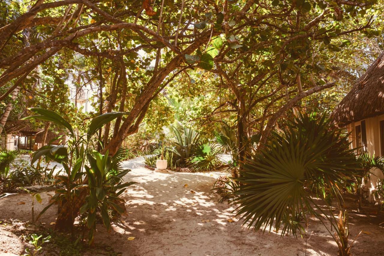 Esencial Tulum Hotel Exterior photo